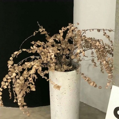 Furry插画构图实用思路福瑞交流群